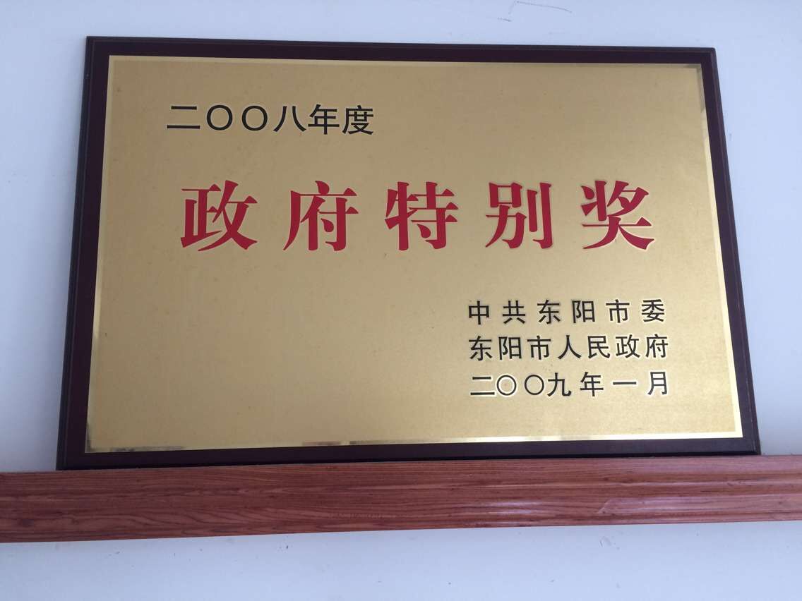 政府特別獎(jiǎng)